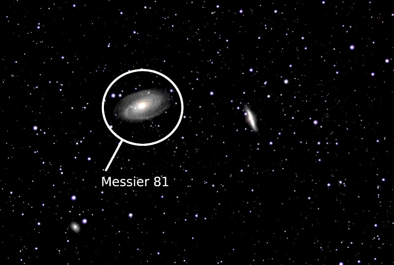 Messier 81 Bode's Galaxy